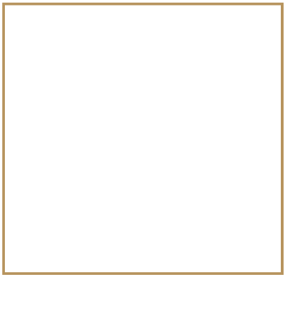 Alternate text