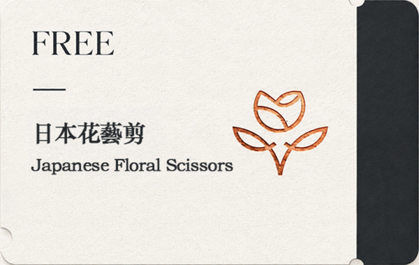 沒有照片上傳。